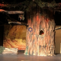 robin hood tree